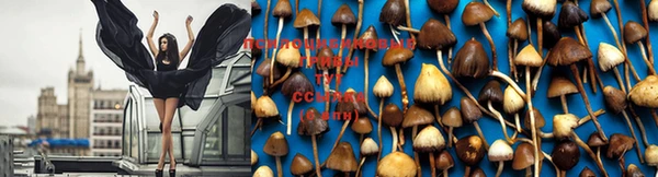 MDMA Беломорск