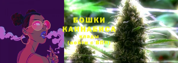 метадон Белокуриха