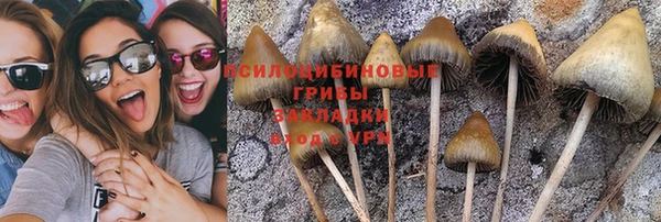 ешки Белоозёрский