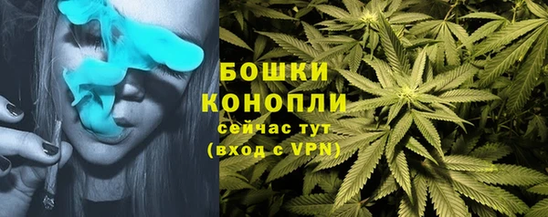 ешки Белоозёрский