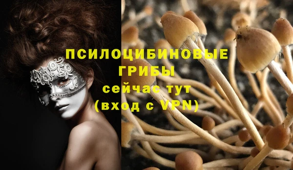 spice Балахна