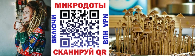 сайты даркнета официальный сайт  Армавир  Галлюциногенные грибы Psilocybe  продажа наркотиков 