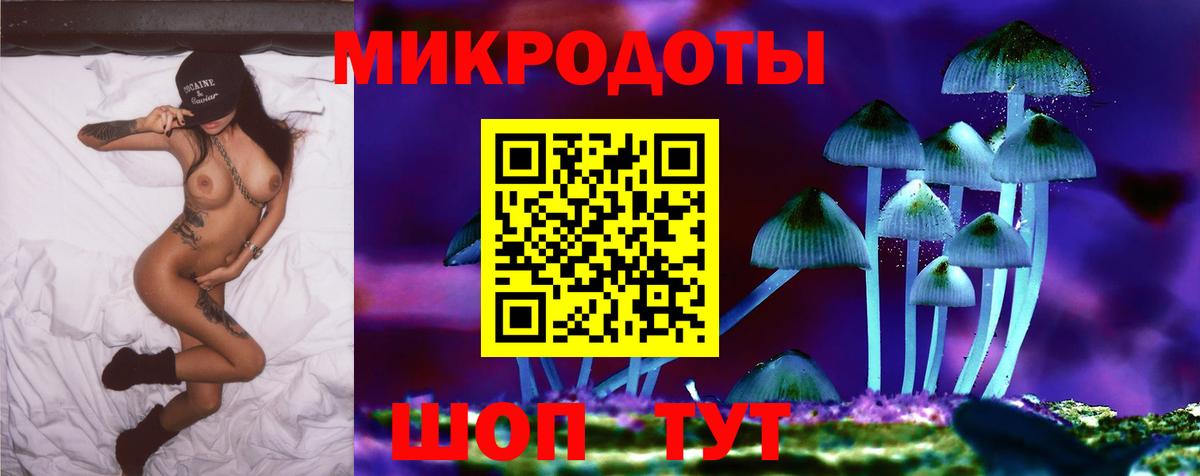 Армавир  Псилоцибиновые грибы Psilocybine cubensis  Вход с VPN 
